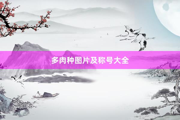 多肉种图片及称号大全